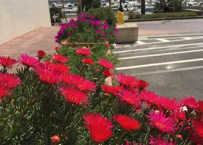 Hotel Don Pedro Portoscuso